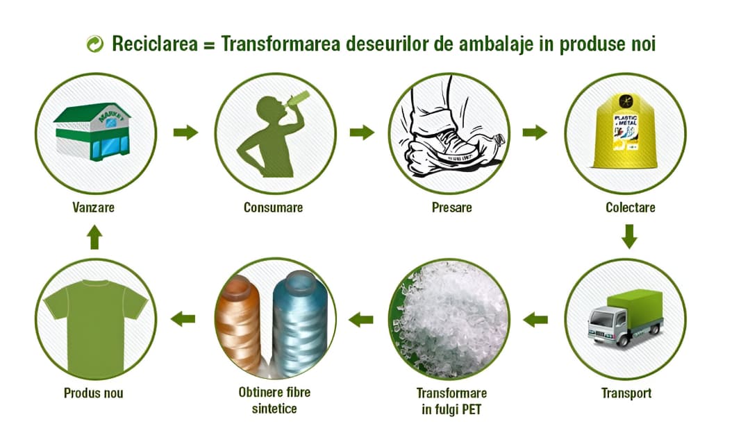 Infografic cu pașii reciclării: colectare, sortare, procesare și refolosire a materialelor